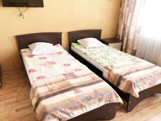 Гостиница Вятские улочки Киров 4 - Местный Эконом-8